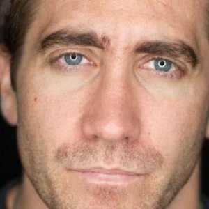 Jake Gyllenhaal: biografija i detalji osobnog života glumca
