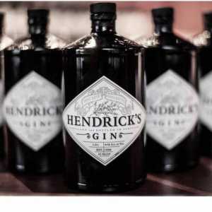 Gene `Hendricks`: proizvođač, utvrda, recenzije