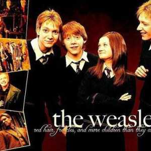 George Weasley i Fred Weasley su nestašni blizanci iz priče dječaka koji je preživio