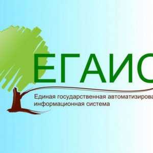 Jedinstveni državni automatizirani sustav (EGAIS) "Računovodstvo drva i transakcija s…