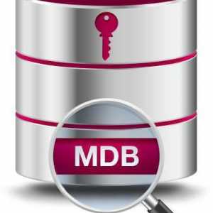 Datoteke s proširenjem MDB-a: što treba otvoriti?