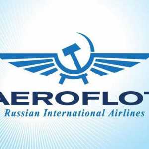Činjenice o tvrtki "Aeroflot". Tko posjeduje Aeroflot?