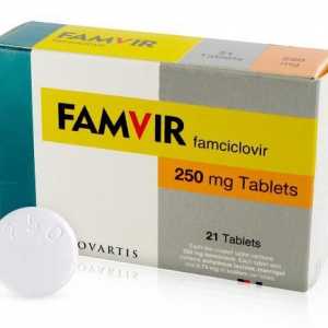 `Famvir`: upute o primjeni, odgovori. Analozi lijekova