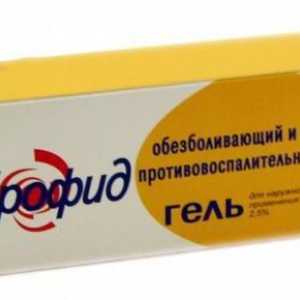 `Fibrofid` gel: upute za uporabu. Recenzije o lijeku "Febrofid"