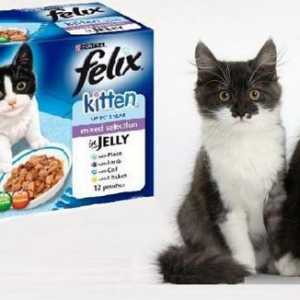 `Felix` (mačka hrana): recenzije kupaca i veterinara