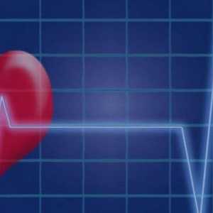 Fiziologija ljudskog srca