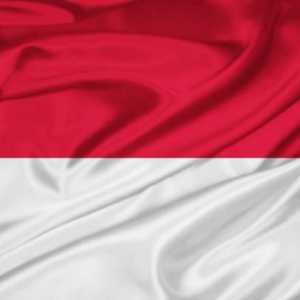 Zastava Indonezije: vrsta, značenje, povijest
