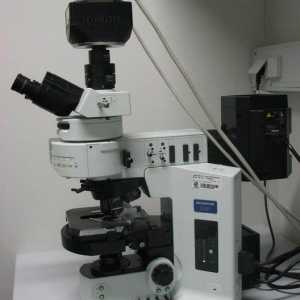Fluorescentna mikroskopija: načela metode