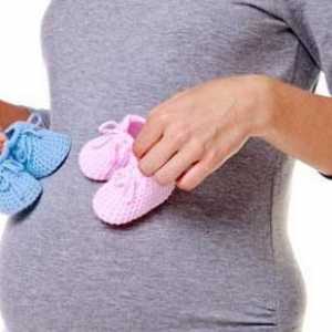 Oblici abdomena tijekom trudnoće djevojka i dječak (fotografija)