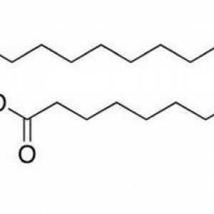 Fosfatidna kiselina. Sinteza i značenje u tijelu