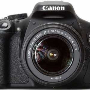 Canon D600 kamera: specifikacije, recenzije
