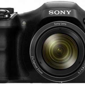 Sony Cyber ​​Shot fotoaparat DSC-H100: specifikacije i recenzije