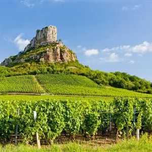 Francuska vina iz Burgundija