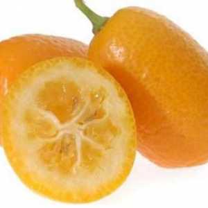 Voće kumquat - što je to? Kako je kumquat? Korisna svojstva kumquata