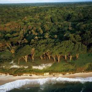 Gabon je zemlja u središnjoj Africi: opis. Prirodni uvjeti
