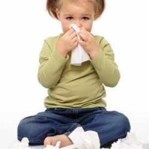 Sinusitis kod djece: simptomi i liječenje. Savjetovanje s pedijatrom