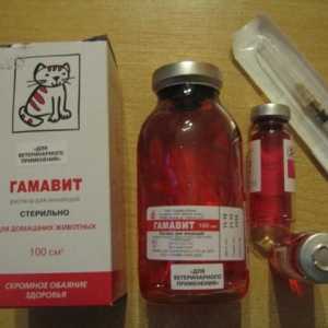 `Gamavit` za mačku: indikacije i metode primjene
