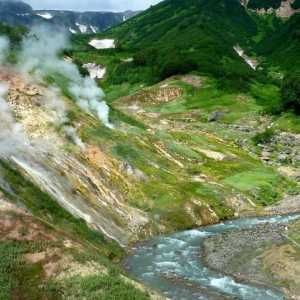 Gdje je rijeka Kamčatka? Rijeka Kamčatka: opis, izvor, estuarij, priroda, flora i fauna