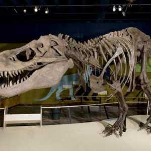 Gdje je najpoznatiji muzej dinosaura na svijetu?