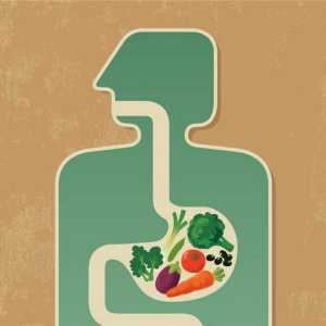 Gdje hranjive tvari ulaze u krvotok osobe?