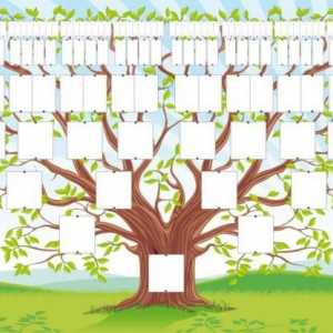 Genealogijsko stablo vlastitim rukama: odabir informacija, ispravna gradnja, dizajn ideje