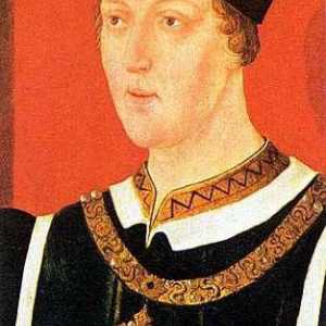 Henry VI: biografija, postignuća i zanimljive činjenice