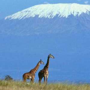 Geografske koordinate vulkana Kilimanjaro i druge značajke