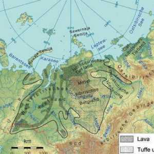 Zemljopisni položaj zapadne sibirske ravnice: opis i značajke