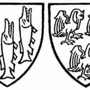 Heraldika: značenje simbola i boja. Vrste, oblik štitova i njihovo značenje u heraldici