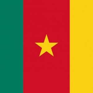 Grb i zastava Kameruna. Povijest, opis i značenje zastave