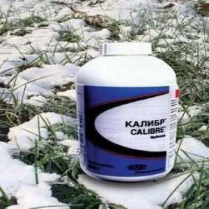 Herbicid `Kaliber`: opis, upute za uporabu, recenzije