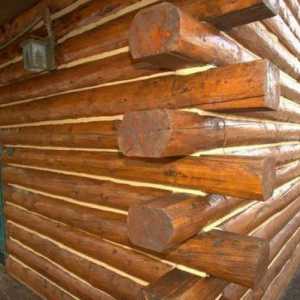 Sealant u drvenoj kući: izbor, upute za uporabu, povratne informacije