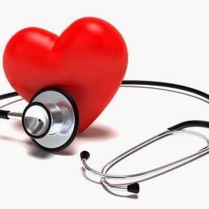 Hipertrofija lijeve klijetke srca: liječenje narodnim lijekovima. Uzroci, simptomi i dijagnoza.…