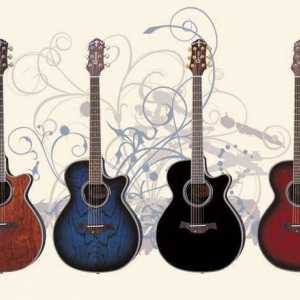 Crafter gitare: opis, opis, fotografija