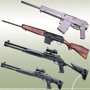 Smoothbore pištolji za lov: pregled, opis i recenzije