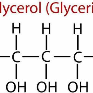Glicerin i njegova upotreba. Hranjivi glicerin
