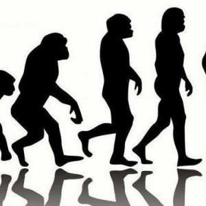 Globalni evolucionizam kao temeljna paradigma suvremene prirodne znanosti