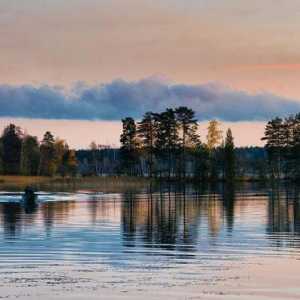 Jezero Glubokoe (Leningradska regija) idealno je mjesto za odmor