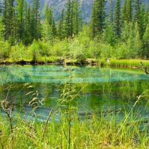 Plava jezera Altai - izvrsno mjesto za opuštanje