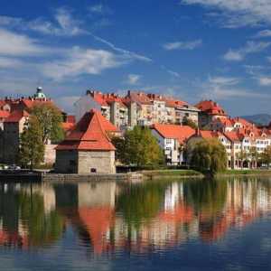 Maribor, Slovenija: atrakcije i fotografije