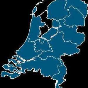 Gradovi u Nizozemskoj: opis