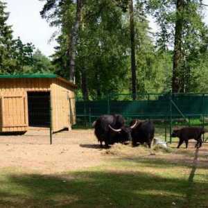 Gradski zoološki vrt Kostroma i kontaktni zoološki vrt u Kostromu: kakva je razlika? Opis,…