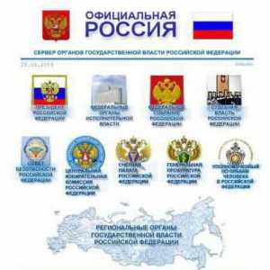 Državna tijela Ruske Federacije: definicija, aktivnost i autoritet