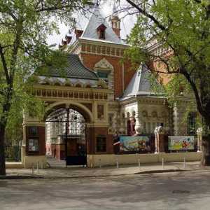 Državni biološki muzej dobio ime po K. A. Timiryazev. Znanstveni i zabavni programi za djecu i…