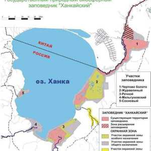 Državna prirodna rezervata biosfere `Khanka`, Primorsky krai: opis