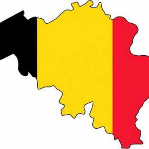 Belgija: oblik vlade, opis, opći opis