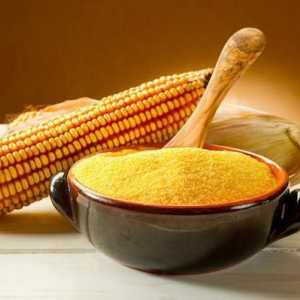 Kuhanje za cijelu obitelj: kukuruzni kašuti u multivarhu `Redmond`