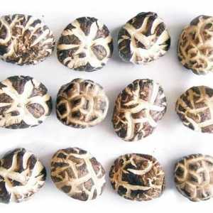 Shiitake gljive. Prednosti i metode pripreme