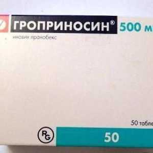 "Groprinozin 500": upute za uporabu i povratne informacije