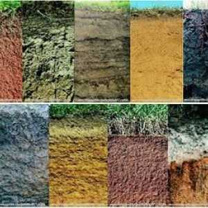 Tlo: vrste tla. Karakteristike tla